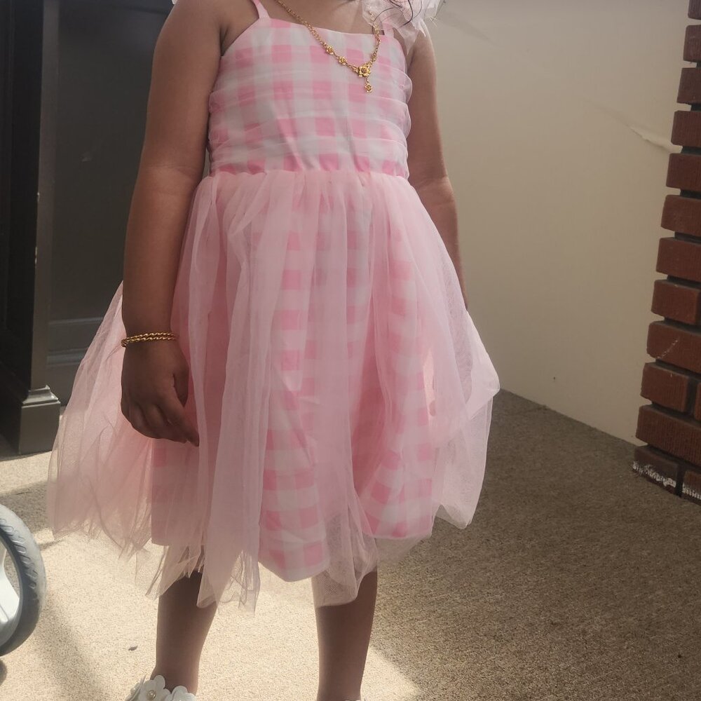 2 year old dress